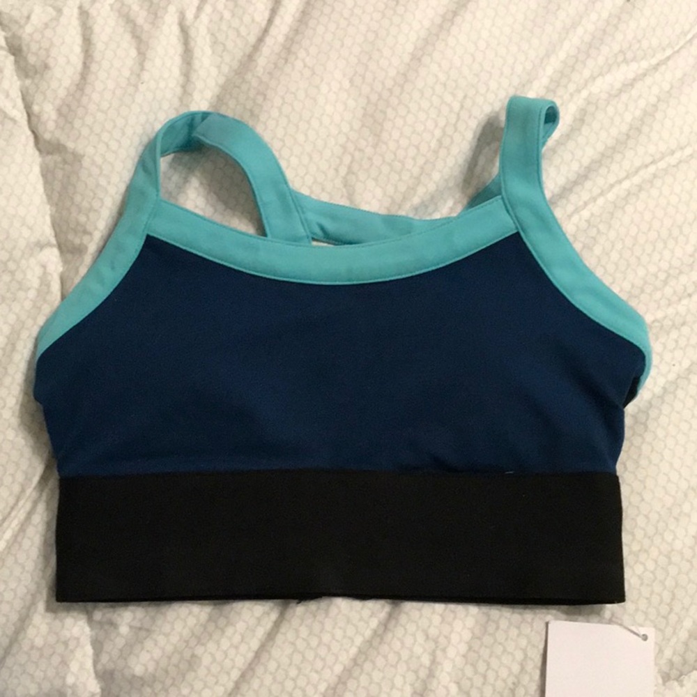 Fabletics sports bra